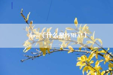 pprof（什么是PFMEA?）
