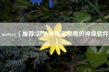 wiztree（推荐5款让你相见恨晚的神级软件）