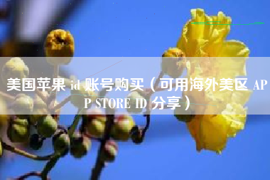 美国苹果 id 账号购买（可用海外美区 APP STORE ID 分享）
