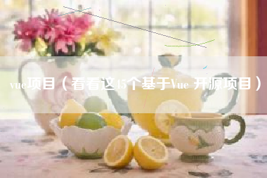 vue项目（看看这45个基于Vue 开源项目）