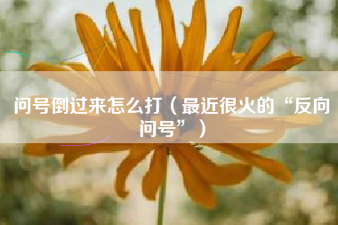 问号倒过来怎么打（最近很火的“反向问号”）