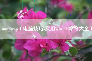 snmptrap（电脑技巧-实用Win+R命令大全）