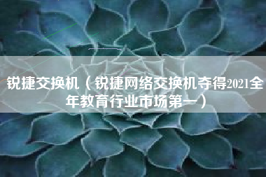锐捷交换机（锐捷网络交换机夺得2021全年教育行业市场第一）