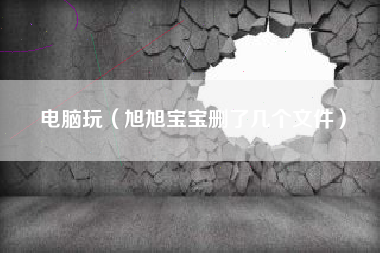 电脑玩（旭旭宝宝删了几个文件）