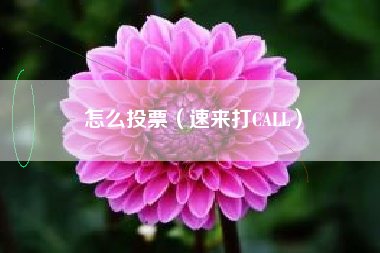 怎么投票（速来打CALL）