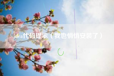 idea代码提示（我也悄悄安装了）
