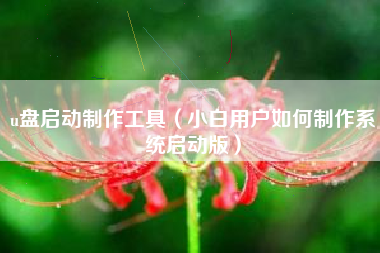 u盘启动制作工具（小白用户如何制作系统启动版）
