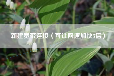 新建宽带连接（可让网速加快3倍）