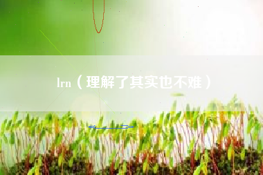 lrn（理解了其实也不难）