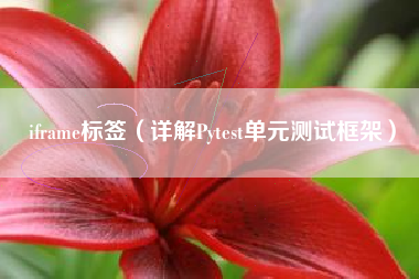 iframe标签（详解Pytest单元测试框架）