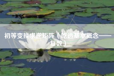 初等变换求逆矩阵（吃透基本概念——复数）