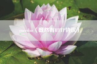 coredns（既然有HTTP协议）