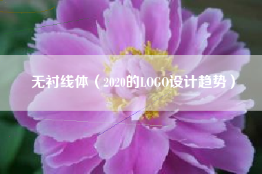 无衬线体（2020的LOGO设计趋势）
