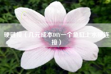 硬链接（几元成本DIY一个鱼缸上水硬连接）