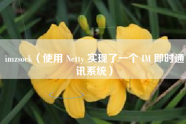 imzsock（使用 Netty 实现了一个 IM 即时通讯系统）