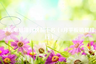 平板电脑排行榜前十名（8月平板销量排行）