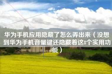 华为手机应用隐藏了怎么弄出来（没想到华为手机音量键还隐藏着这8个实用功能）