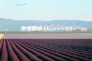 多维数组（EasyC++22）