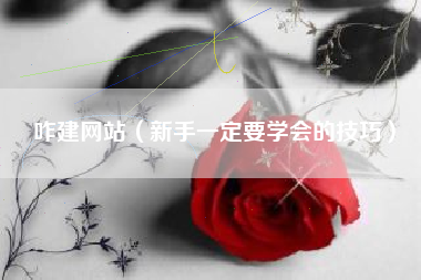 咋建网站（新手一定要学会的技巧）