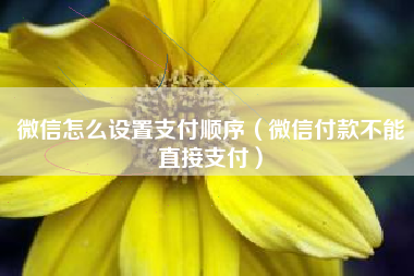 微信怎么设置支付顺序（微信付款不能直接支付）