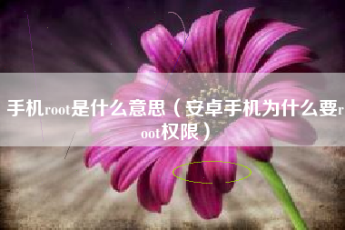 手机root是什么意思（安卓手机为什么要root权限）
