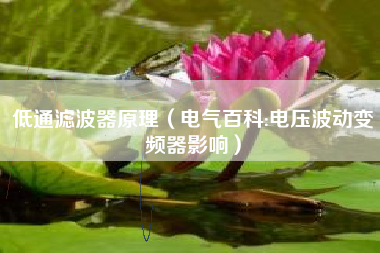 低通滤波器原理（电气百科:电压波动变频器影响）