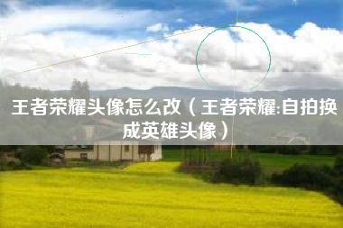 王者荣耀头像怎么改（王者荣耀:自拍换成英雄头像）