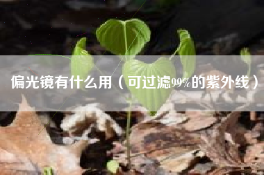 偏光镜有什么用（可过滤99%的紫外线）