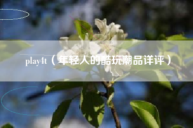 play4t（年轻人的酷玩潮品详评）