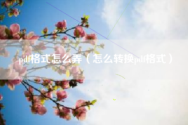 pdf格式怎么弄（怎么转换pdf格式）