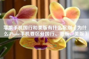 苹果手机国行和美版有什么区别（为什么iPhone手机要区分国行、港版、美版）