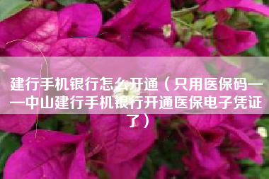 建行手机银行怎么开通（只用医保码——中山建行手机银行开通医保电子凭证了）