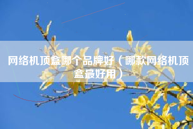 网络机顶盒哪个品牌好（哪款网络机顶盒最好用）