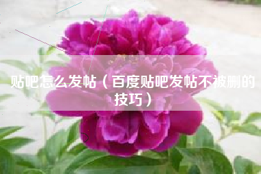 贴吧怎么发帖（百度贴吧发帖不被删的技巧）