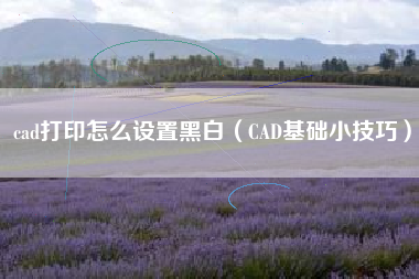 cad打印怎么设置黑白（CAD基础小技巧）