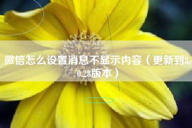 微信怎么设置消息不显示内容（更新到8.0.28版本）