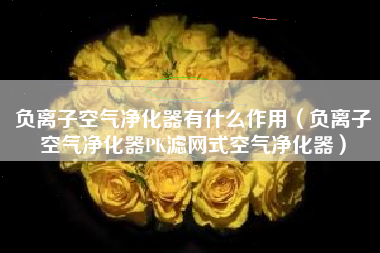 负离子空气净化器有什么作用（负离子空气净化器PK滤网式空气净化器）
