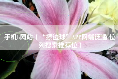 手机h网站（“擦边球”APP网端泛滥:位列搜索推荐位）