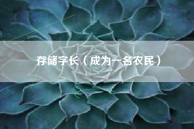存储字长（成为一名农民）