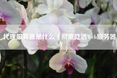 代理服务器是什么（彻底吃透Web服务器）