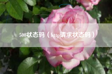 500状态码（http请求状态码）