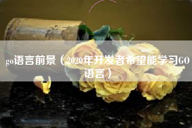 go语言前景（2020年开发者希望能学习GO语言）