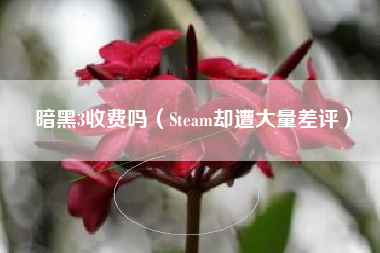 暗黑3收费吗（Steam却遭大量差评）