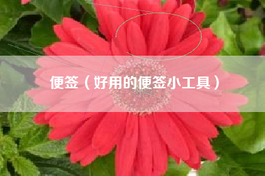 便签（好用的便签小工具）