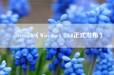 wiremock（Wireshark 3.6.0正式发布）