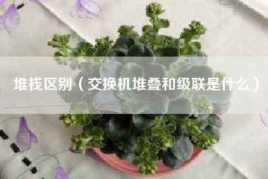 堆栈区别（交换机堆叠和级联是什么）