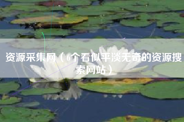 资源采集网（6个看似平淡无奇的资源搜索网站）