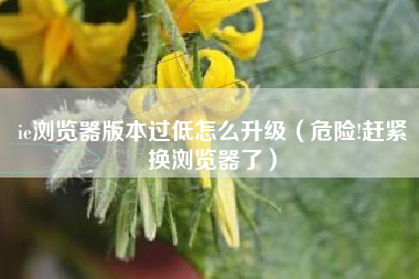 ie浏览器版本过低怎么升级（危险!赶紧换浏览器了）