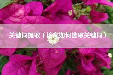 关键词提取（论文如何选取关键词）