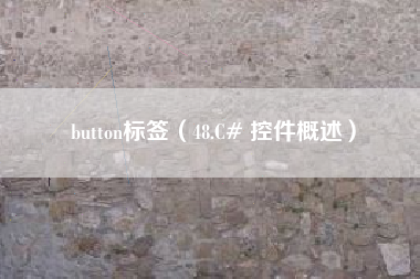 button标签（48.C# 控件概述）
